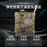 车小卫车载炭包新车除甲醛除异味车内除臭专用活性炭汽车竹炭包空气净化 实拍图