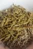 密云农家 新鲜木兰芽250g 茉莉芽 木力芽野菜 可凉拌食用蔬菜生鲜 实拍图