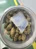 健典正宗霍山铁皮石斛 安徽五年特级精选铁皮石斛枫斗颗粒 霍山铁皮石斛200克 实拍图