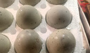 鄱湖鸭舍 无铅松花蛋皮蛋溏心松花皮蛋无铅工艺变蛋厂家麻鸭蛋批发 70-80克/枚【30枚-超值】 实拍图