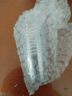 sibirskaya 白酒封酒膜热缩膜封飞天专用生肖王子酒瓶口封口膜密封酒保护袋 1斤飞天用全套【10套】 实拍图