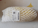 三宝白菜（大娃娃菜）约650g 实拍图