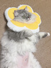 华元宠具（hoopet）猫咪伊丽莎白圈幼猫项圈宠物狗狗圈颈圈脖圈头套犬耻辱圈防舔头罩 实拍图