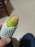 京鲜生 山东中农脆玉三号黄瓜 2.11斤单果60g+ 轻食减脂 源头直发 实拍图