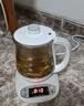 小熊（Bear）迷你养生壶 养生壶煮茶壶煮茶器电热水壶加厚玻璃烧水壶 办公室便携恒温烧水 YSH-A08U6无滤网 0.8L 【店铺爆款】 实拍图