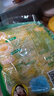 翠花酸菜正宗东北酸菜饺子包子腌制切丝猪肉炖酸菜特产餐饮下饭菜 500gx5袋丝装 实拍图
