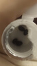 同仁堂（TRT）葡萄籽维生素e软胶囊美白内服改善暗沉肤色烟酰胺去斑淡化黑色素 实拍图