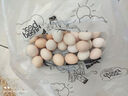 舌尖攻略蛋墩墩农家散养鸡蛋谷饲鲜鸡蛋农家鸡蛋早餐食材蛋白单枚40g±5g 谷饲鲜鸡蛋 30枚 实拍图