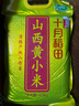 十月稻田 24年新米 山西黄小米 2.5kg 五谷杂粮 粗粮 早餐小米粥 真空5斤 实拍图