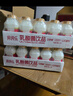 界界乐0蔗糖乳酸菌饮料牛奶乳品儿童奶草莓口味100ml*20瓶/箱 分享装 实拍图