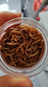 比克熊面包虫干仓鼠零食黄粉虫芦丁鸡鹦鹉金丝熊龟粮食820ml 实拍图