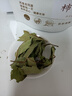 匠界养生茶柿子叶精选降霜后新鲜柿叶干血压茶可泡茶煮水茶50g 实拍图
