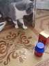 USPET英国狗狗猫咪鲨鱼软骨素片宠物骨骼关节保护修复补钙健骨片200片 实拍图