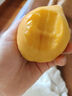 柴火大院 黄小米 1kg 早餐小米粥 小黄米 五谷杂粮 粗粮 小米新米 2斤 实拍图