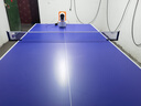 健伦（JEEANLEAN）乒乓球桌家用可折叠室内标准乒乓球台室内比赛户外球案子 25mm带轮款KL328 实拍图