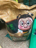 德沃多肥料 碳球陶粒5L(8-10mm) 花盆垫底拌土回填保水透气水培无土栽培基质 实拍图