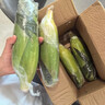 京鲜生云南水果玉米 净重5斤单果280g+ 甜玉米棒新鲜蔬菜应季 源头直发 实拍图