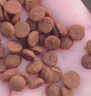 网易严选全价猫粮宠物主粮幼猫成猫全价猫粮 深海鱼虾口味10kg 实拍图