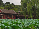 松下（Panasonic）学习台灯减蓝光护眼台灯AA级阅读台灯家用儿童护眼灯调光智能台灯 实拍图