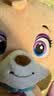 汪汪队立大功（PAW PATROL）汪汪队玩具毛绒全套狗狗玩偶公仔男女孩玩具旺旺队儿童生日礼物 水行毛绒-珊瑚 中号-坐或站高约17~22.9CM 实拍图