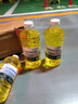 朗力 4大桶汽车玻璃水冬季零下防冻去油膜去虫胶车用镀晶雨刮水清洁剂 -48度防冻【四级功效】 强去油膜 实拍图