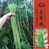 寿禾长豆角豇豆种子苗搭架农家菜园种植蔬菜种籽 豇豆种子25g约120粒 实拍图