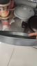 展艺 9寸披萨烤盘 家用烤盘烘焙模具 不粘涂层烘焙工具圆形烤箱烤盘 实拍图