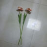 爱已装糖ins风假花仿真花束餐桌摆花客厅摆件装饰绢花重瓣郁金香浅粉2支 实拍图