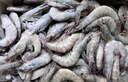 禧美海产 厄瓜多尔巨无霸白虾 去冰净重3斤 30-40只/kg 盐冻大虾 海鲜水产 实拍图