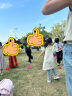 格术吊床户外双人防侧翻成人儿童露营秋千室内宿舍吊椅学生网床摇椅红 实拍图