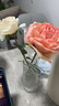 吕姆克花瓶客厅装饰花瓶摆件玫瑰百合插花瓶冰纹透明组合花瓶玻璃5265 实拍图