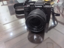 松下（Panasonic）G100D 微单/单电/无反数码相机 专业收音 翻转自拍Vlog-L相机 学生相机 内置三个麦克风 G100D+【12-60mm白盒】单镜套装 实拍图
