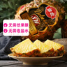 佳农 黑钻菠萝1粒装 菲律宾凤梨 净重2斤起 新鲜水果 源头直发 包邮 实拍图
