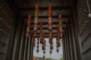 腾龙（Tamron）A071S 28-200mm F/2.8-5.6 Di III RXD大光圈远摄大变焦镜头 索尼全画幅微单镜头(索尼全幅E口) 实拍图