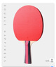 红双喜乒乓球拍专业级成人横拍小学生初学者儿童兵兵乓球拍子成品拍 黑柄初学双拍【横拍+直拍】 实拍图