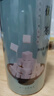 福东海 茯苓500克（中块0.8-1.0CM）云南白茯苓块 新货茯苓丁片煲汤料  实拍图