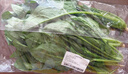 大菠菜300g 实拍图