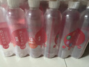 依能 西柚味 无糖无汽弱碱苏打水饮料 500ml*24瓶 塑膜装 饮用水 实拍图