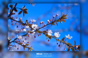 尼康（Nikon）Z30 Vlog视频 微单相机 无反相机 半画幅（Z DX 18-140mm f/3.5-6.3 VR）vlog视频相机 实拍图