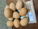 可生食鸡蛋含DHA无抗Omega-3 新鲜鸡蛋 早餐买菜无菌蛋京东包邮 450g DHA鸡蛋10枚 实拍图