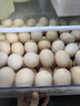 黄天鹅鸡蛋可生食鸡蛋30枚鸡蛋单枚60g新鲜鸡蛋L级大蛋礼盒 实拍图