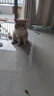 京东京造 冻干双拼全价猫粮10kg鱼肉味 全阶段成猫幼猫[新老包装随机发货] 实拍图
