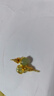 苗秀足银针耳钉女复古法式感大气时尚耳环仿和田玉耳饰生日情人节礼物 和田玉耳钉-金色 实拍图