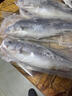 裕琳珑 海鲈鱼 新鲜海捕整条活冻七星海鲈鱼 海鲜水产生鲜 鱼类 整条海鲈鱼3条装(0.7-1斤/条) 实拍图