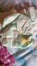好奇（Huggies）心钻装小森林纸尿裤M50片(6-11kg)中号尿不湿透气夏季超薄 实拍图