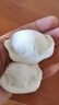 吴大嫂 东北水饺 皮皮虾馅 800g 40只 海鲜饺子 速食早点 虾爬子 实拍图