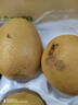 佳沛（zespri）新西兰  阳光金奇异果18粒超大果原箱单果重约173-204g 猕猴桃 实拍图