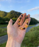 祥隐【普陀山直发】黄水晶手串招财转运送女生水晶手链金发晶生日礼物 【全面招财】金霸大综合(10mm） 实拍图