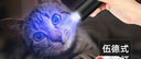 神火（SupFire）伍德氏灯猫藓灯荧光剂蔬菜检测365紫光灯充电手电筒防伪验钞 实拍图