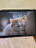 闪魔适用iPad pro2024钢化膜11英寸全新苹果M4芯片平板电脑贴膜全屏防摔抗指纹高清保护膜 实拍图